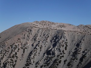 PICT0103.JPG