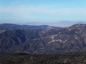 PICT0114.JPG