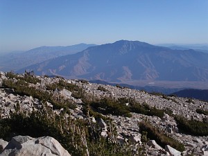 PICT0116.JPG